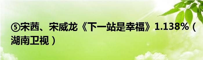 ⑤宋茜、宋威龙《下一站是幸福》1.138%（湖南卫视）