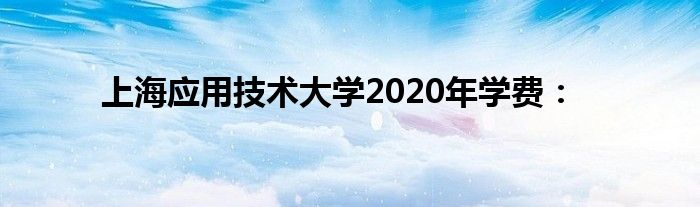 上海应用技术大学2020年学费：