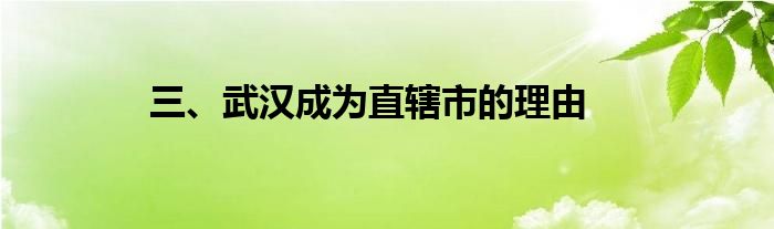 三、武汉成为直辖市的理由