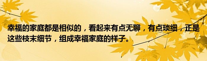 幸福的家庭都是相似的，看起来有点无聊，有点琐细，正是这些枝末细节，组成幸福家庭的样子。