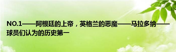 NO.1——阿根廷的上帝，英格兰的恶魔——马拉多纳——球员们认为的历史第一