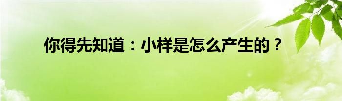 你得先知道：小样是怎么产生的？