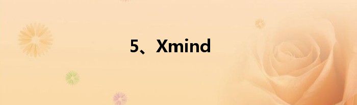 5、Xmind