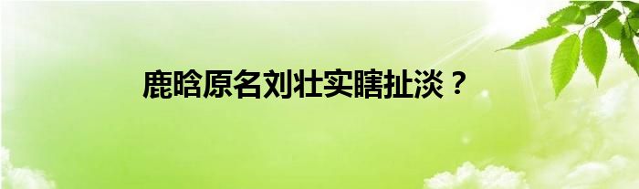 鹿晗原名刘壮实瞎扯淡？