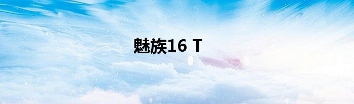 魅族16 T