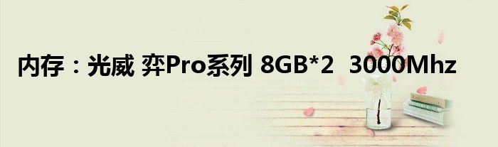 内存：光威 弈Pro系列 8GB*2  3000Mhz