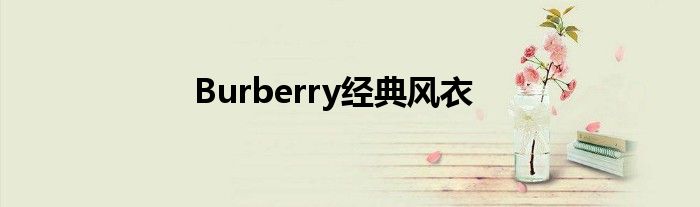 Burberry经典风衣