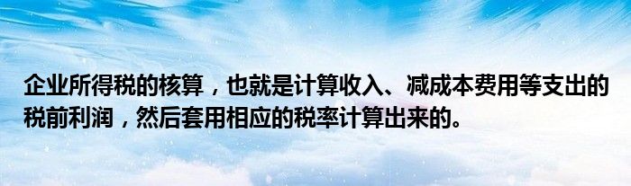 企业所得税的核算，也就是计算收入、减成本费用等支出的税前利润，然后套用相应的税率计算出来的。