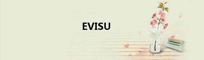 EVISU