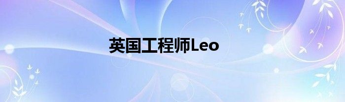 英国工程师Leo