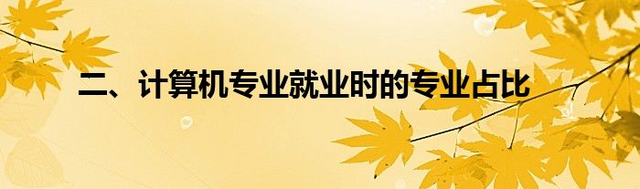 二、计算机专业就业时的专业占比