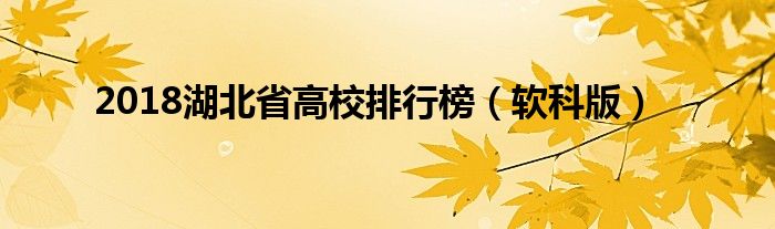 2018湖北省高校排行榜（软科版）