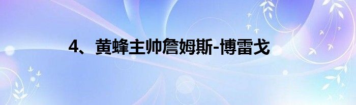 4、黄蜂主帅詹姆斯-博雷戈