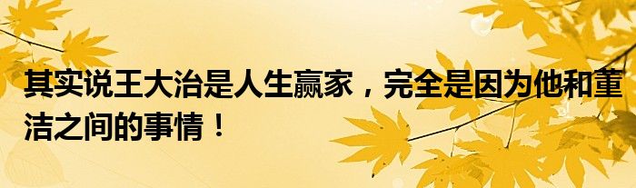 其实说王大治是人生赢家，完全是因为他和董洁之间的事情！