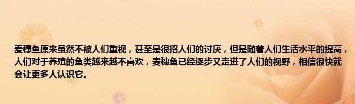 麦穗鱼原来虽然不被人们重视，甚至是很招人们的讨厌，但是随着人们生活水平的提高，人们对于养殖的鱼类越来越不喜欢，麦穗鱼已经逐步又走进了人们的视野，相信很快就会让更多人认识它。