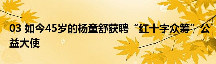 03 如今45岁的杨童舒获聘“红十字众筹”公益大使