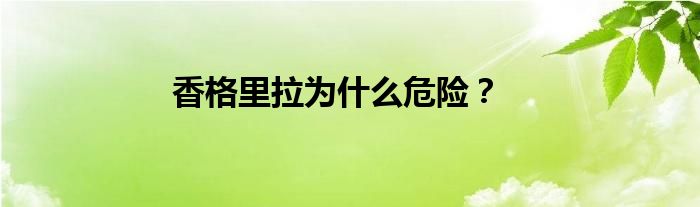 香格里拉为什么危险？