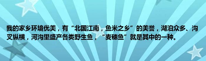 我的家乡环境优美，有“北国江南，鱼米之乡”的美誉，湖泊众多、沟叉纵横，河沟里盛产各类野生鱼，“麦穗鱼”就是其中的一种。