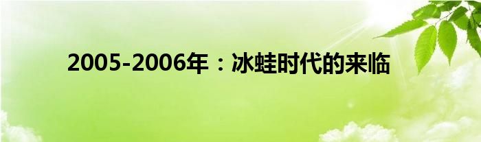 2005-2006年：冰蛙时代的来临