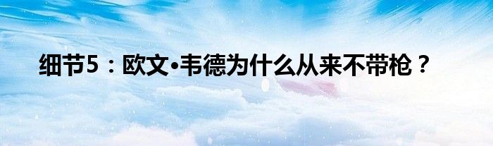 细节5：欧文·韦德为什么从来不带枪？