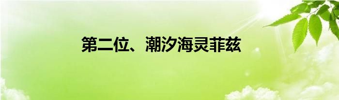 第二位、潮汐海灵菲兹