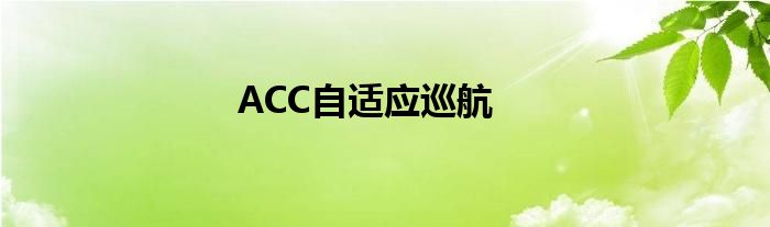 ACC自适应巡航