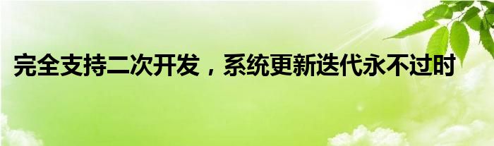 完全支持二次开发，系统更新迭代永不过时