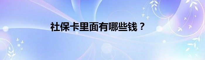 社保卡里面有哪些钱？