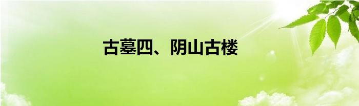 古墓四、阴山古楼