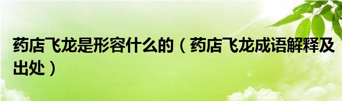 药店飞龙是形容什么的（药店飞龙成语解释及出处）