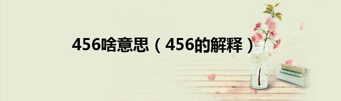 456啥意思（456的解释）