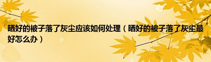 晒好的被子落了灰尘应该如何处理（晒好的被子落了灰尘最好怎么办）