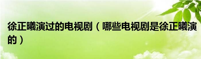 徐正曦演过的电视剧（哪些电视剧是徐正曦演的）