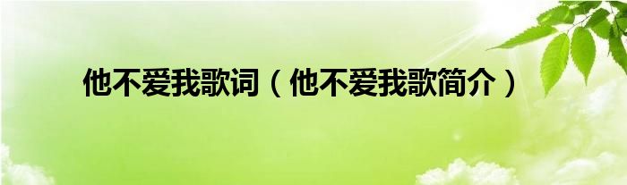 他不爱我歌词（他不爱我歌简介）