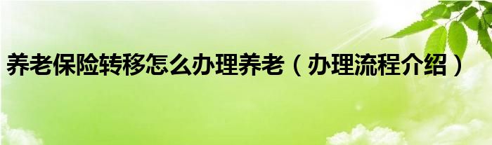 养老保险转移怎么办理养老（办理流程介绍）