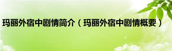 玛丽外宿中剧情简介（玛丽外宿中剧情概要）