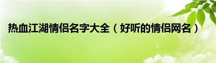 热血江湖情侣名字大全（好听的情侣网名）