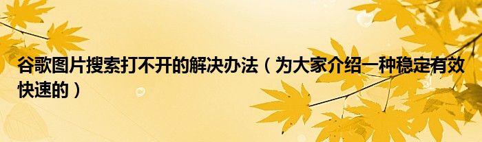 谷歌图片搜索打不开的解决办法（为大家介绍一种稳定有效快速的）