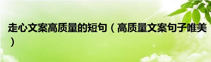 走心文案高质量的短句（高质量文案句子唯美）