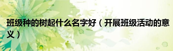 班级种的树起什么名字好（开展班级活动的意义）