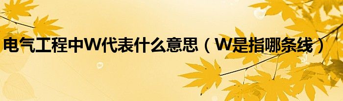 电气工程中W代表什么意思（W是指哪条线）