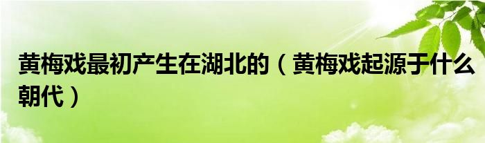 黄梅戏最初产生在湖北的（黄梅戏起源于什么朝代）