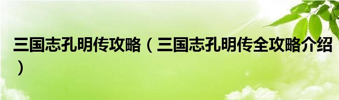 三国志孔明传攻略（三国志孔明传全攻略介绍）