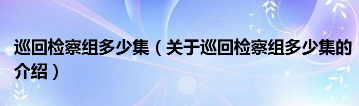 巡回检察组多少集（关于巡回检察组多少集的介绍）