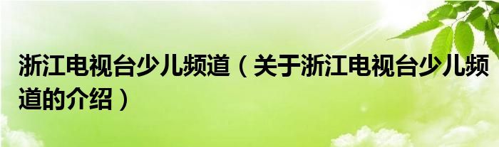 浙江电视台少儿频道（关于浙江电视台少儿频道的介绍）