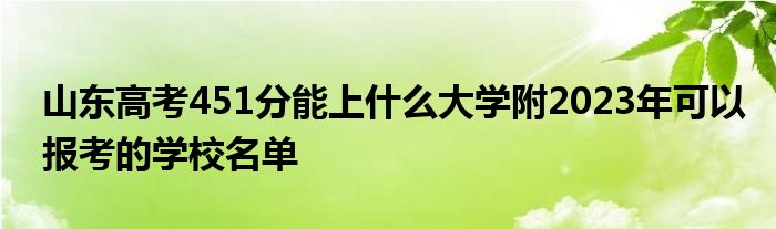 山东高考451分能上什么大学附2023年可以报考的学校名单