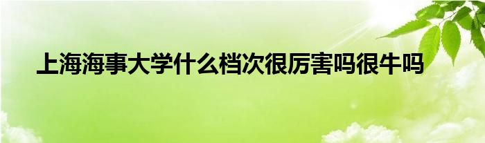 上海海事大学什么档次很厉害吗很牛吗