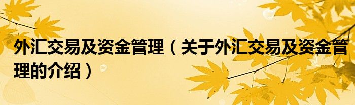 外汇交易及资金管理（关于外汇交易及资金管理的介绍）