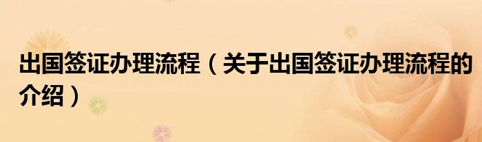 出国签证办理流程（关于出国签证办理流程的介绍）