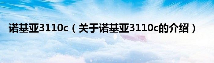 诺基亚3110c（关于诺基亚3110c的介绍）